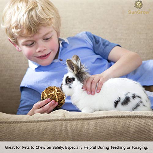 SunGrow Coconut Fiber Rabbit Balls, 3”, Twine Rope Balls, 3 pcs p...