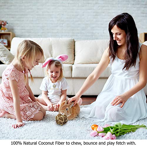 SunGrow Coconut Fiber Rabbit Balls, 3”, Twine Rope Balls, 3 pcs p...