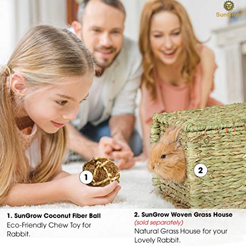 SunGrow Coconut Fiber Rabbit Balls, 3”, Twine Rope Balls, 3 pcs p...