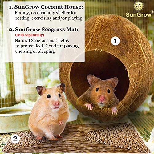 SunGrow Coconut Shell House for Hamsters, 14-16 Inches Circumfere...