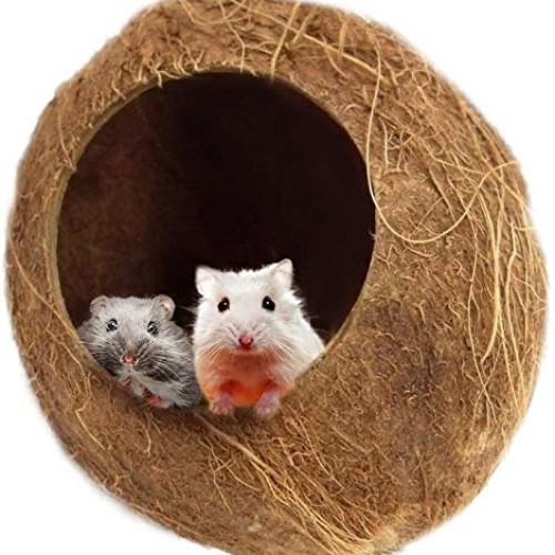 SunGrow Coconut Shell House for Hamsters, 14-16 Inches Circumfere...