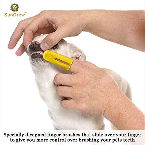 SunGrow Dog Toothbrush Set, 2 Long Dual-Headed Brush, 2 Finger Br...