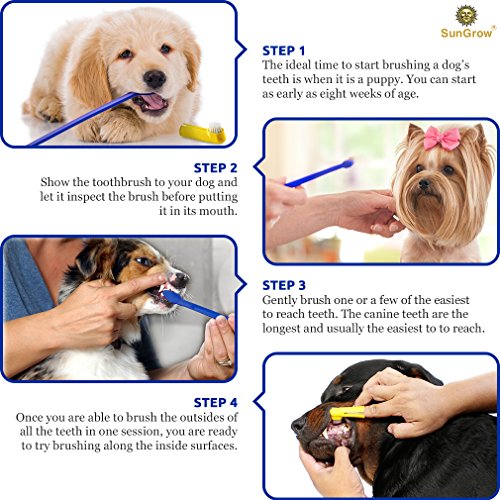 SunGrow Dog Toothbrush Set, 2 Long Dual-Headed Brush, 2 Finger Br...