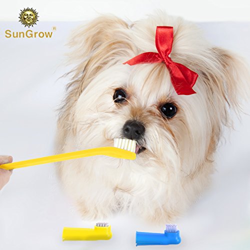 SunGrow Dog Toothbrush Set, Dual-Headed Brush and 2 Bonus Finger ...