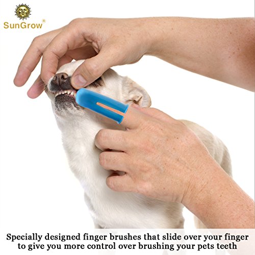SunGrow Dog Toothbrush Set, Dual-Headed Brush and 2 Bonus Finger ...