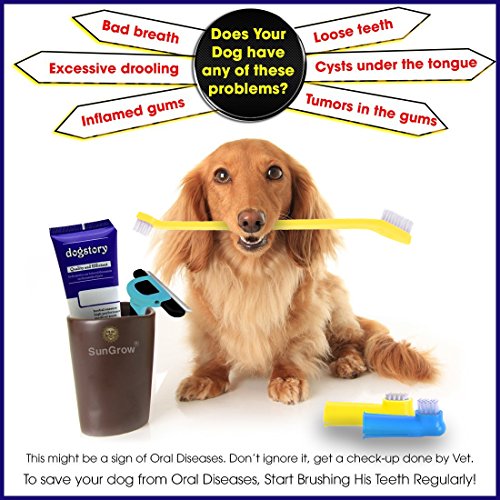 SunGrow Dog Toothbrush Set, Dual-Headed Brush and 2 Bonus Finger ...