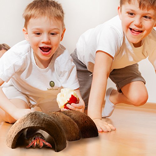 SunGrow Hermit Crab Huts, 5x3Inches, Arthropods Coconut Hide, Sp...