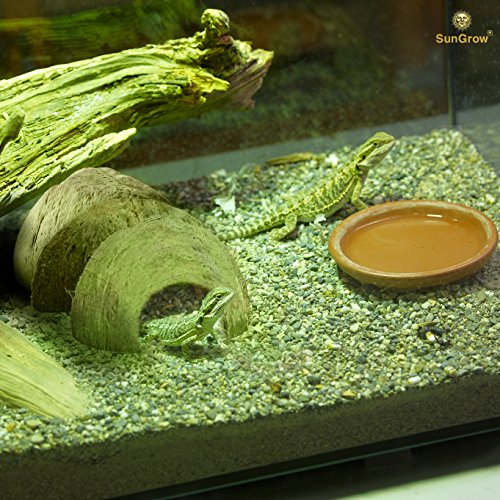 SunGrow Hermit Crab Huts, 5x3Inches, Arthropods Coconut Hide, Sp...