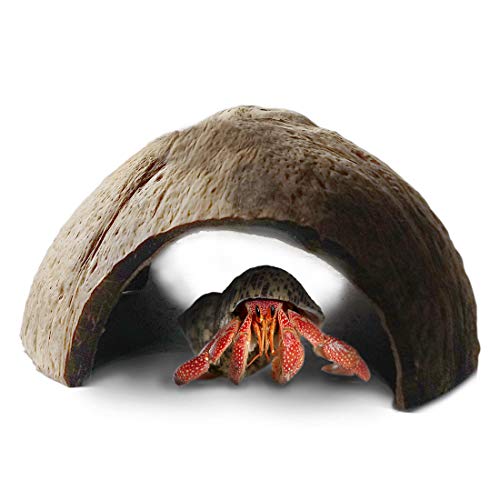 SunGrow Hermit Crab Huts, 5x3Inches, Arthropods Coconut Hide, Sp...