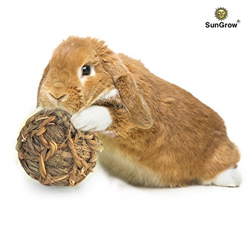 SunGrow Seagrass Ball, 3”, Chewable Teething Toy, 1 Pc per Pack