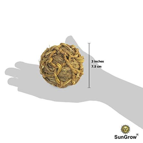 SunGrow Seagrass Ball, 3”, Chewable Teething Toy, 1 Pc per Pack