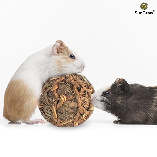 SunGrow Seagrass Ball for Rabbit, Healthy for Your Pet’s Gums & T...