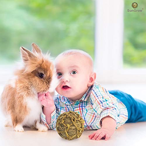 SunGrow Seagrass Ball for Rabbit, Healthy for Your Pet’s Gums & T...
