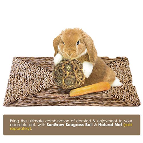 SunGrow Seagrass Ball for Rabbit, Healthy for Your Pet’s Gums & T...