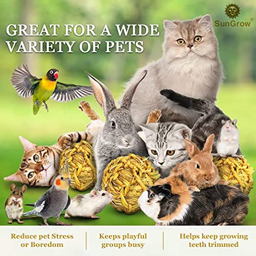 SunGrow Seagrass Balls for Rabbit, Healthy for Your Pet’s Gums & ...