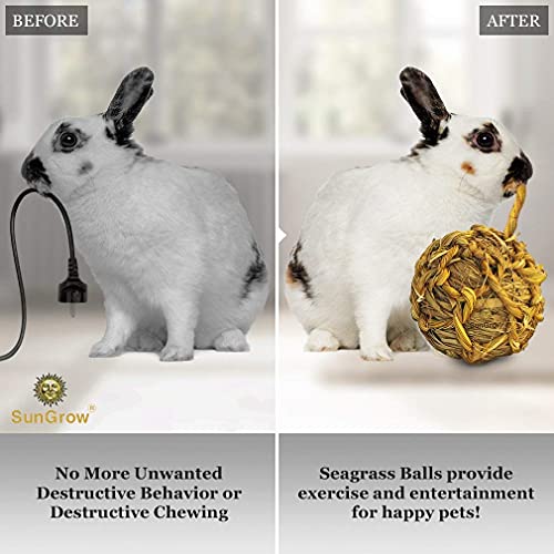 SunGrow Seagrass Balls for Rabbit, Healthy for Your Pet’s Gums & ...