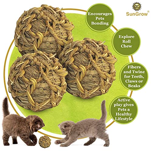 SunGrow Seagrass Balls for Rabbit, Healthy for Your Pet’s Gums & ...
