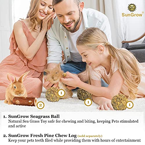 SunGrow Seagrass Balls for Rabbit, Healthy for Your Pet’s Gums & ...