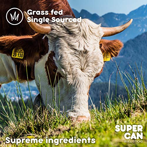 100% Natural Bully Sticks for Dogs. Healthy Free-Range Grass-Fed ...
