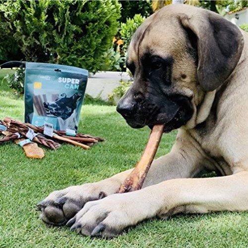 100% Natural Bully Sticks for Dogs. Healthy Free-Range Grass-Fed ...