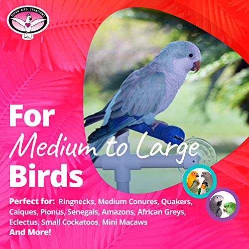 Super Bird Creations 3/4-Inch Fold Away Shower Perch Bird Toy, Me...
