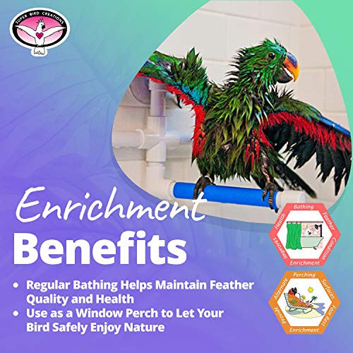 Super Bird Creations 3/4-Inch Fold Away Shower Perch Bird Toy, Me...