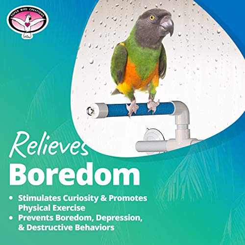 Super Bird Creations 3/4-Inch Fold Away Shower Perch Bird Toy, Me...