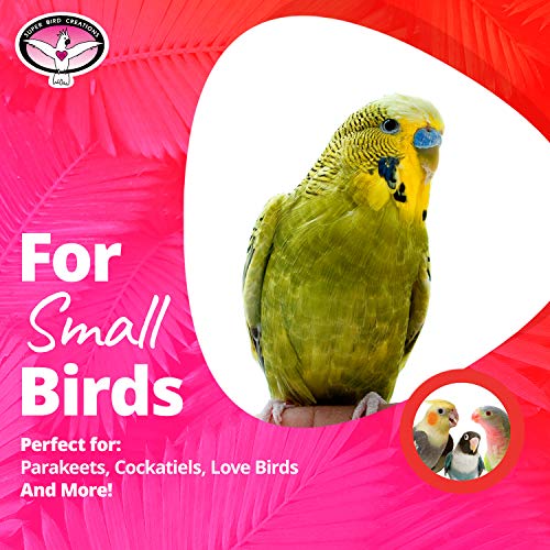 Super Bird Creations Mini Flying Trapeze Toy for Birds