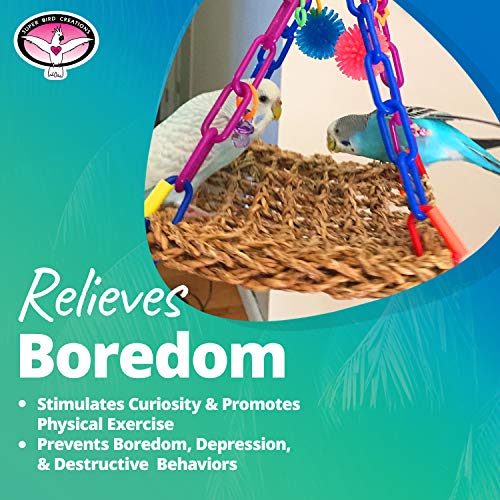 Super Bird Creations Mini Flying Trapeze Toy for Birds