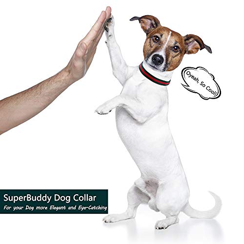 SuperBuddy Premium Dog Collar, Soft Comfortable Dog Collars in No...