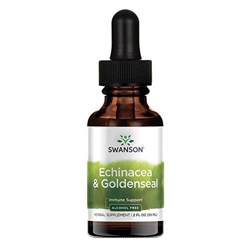 Swanson Echinacea & Goldenseal Liquid 2 fl Ounce 59 ml Liquid