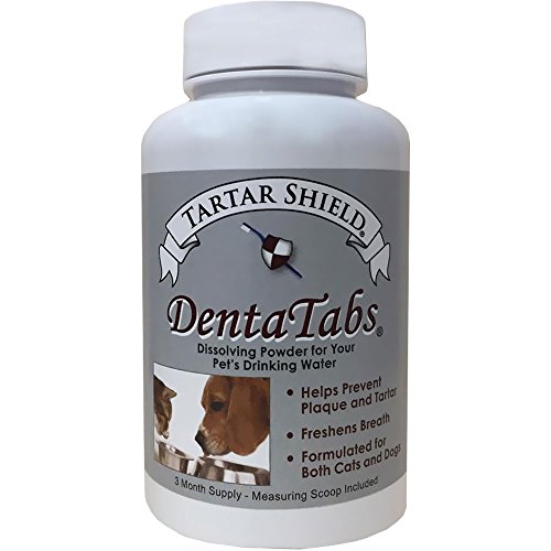 Tartar Shield DentaTabs Dissolving Powder 3-Month Supply
