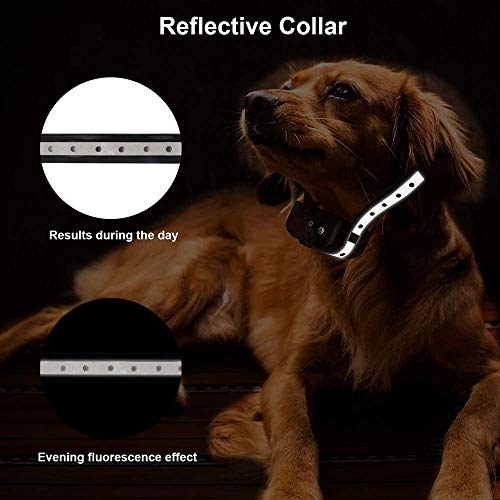 TEMEISI Dog Training Collar, 1800ft Remote Dog Shock Collar, NO H...
