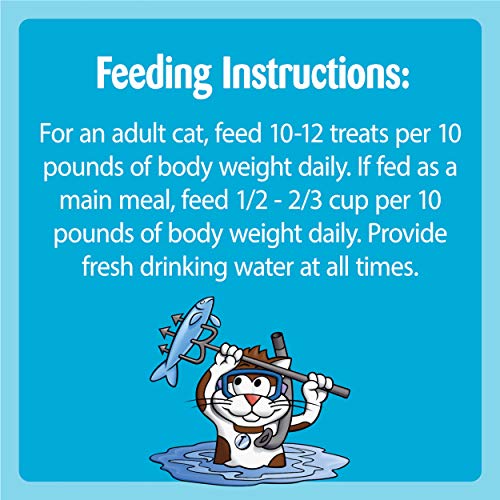 TEMPTATIONS Classic Crunchy and Soft Cat Treats, 30 oz.