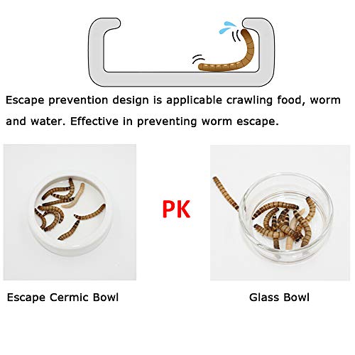 Tfwadmx 2 Pack Reptile Food Bowl, Mini Ceramic Water Feeder Bowl,...