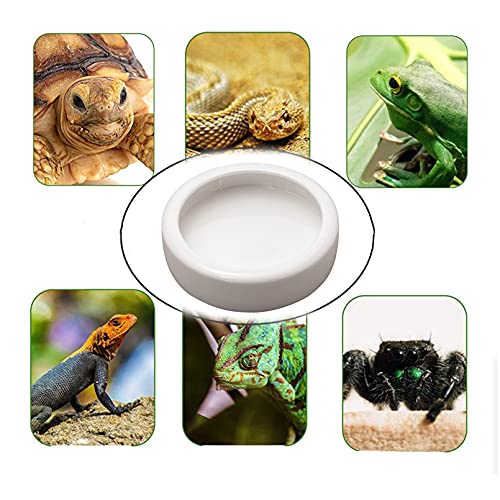 Tfwadmx 2 Pack Reptile Food Bowl, Mini Ceramic Water Feeder Bowl,...