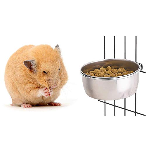 Tfwadmx Bird Feeding Dish Cups Parrot Food Bowl Clamp Holder Coop...
