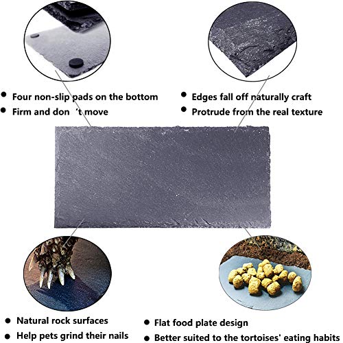 Tfwadmx Reptile Basking Rock Platform, Tortoise Feeding Plate Bow...