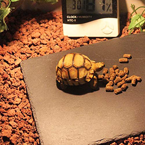 Tfwadmx Reptile Basking Rock Platform, Tortoise Feeding Plate Bow...