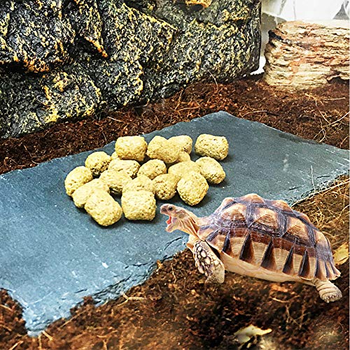 Tfwadmx Reptile Basking Rock Platform, Tortoise Feeding Plate Bow...