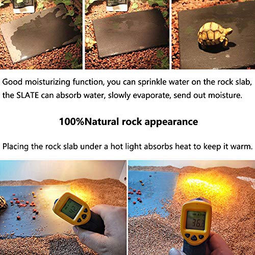 Tfwadmx Reptile Basking Rock Platform, Tortoise Feeding Plate Bow...