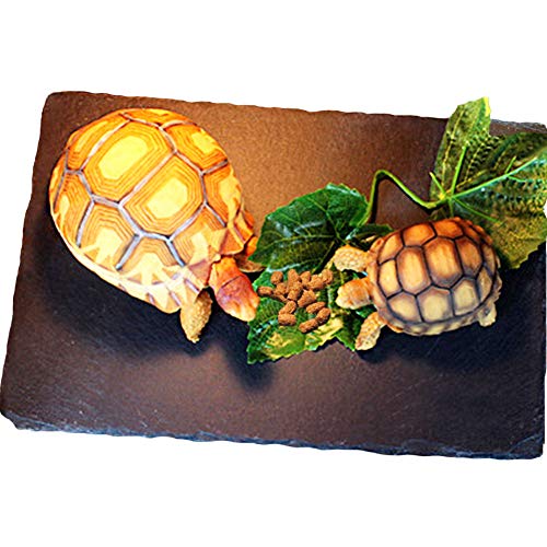 Tfwadmx Reptile Basking Rock Platform, Tortoise Feeding Plate Bow...