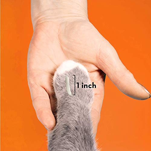 ThunderWunders Cat Calming Paw Gel | Vet Recommended to Help Redu...