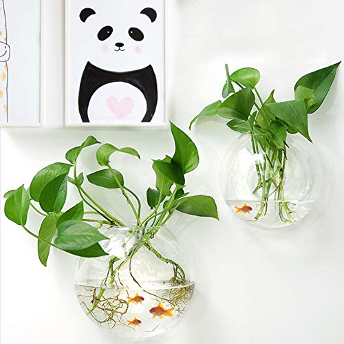 TITA-DONG Wall Hanging Fish Tank,3 Pack Hanging Fish Bowl,Transpa...