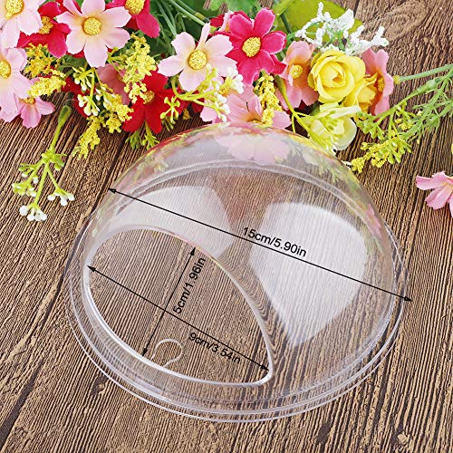 TITA-DONG Wall Hanging Fish Tank,3 Pack Hanging Fish Bowl,Transpa...