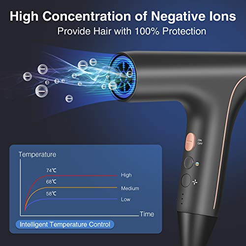 Professional Hair Dryer, Lightweight Ionic Blow Dryer, Negative I...