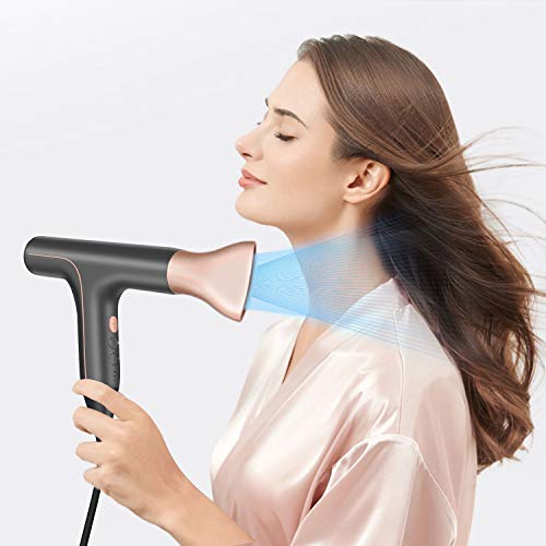 Professional Hair Dryer, Lightweight Ionic Blow Dryer, Negative I...