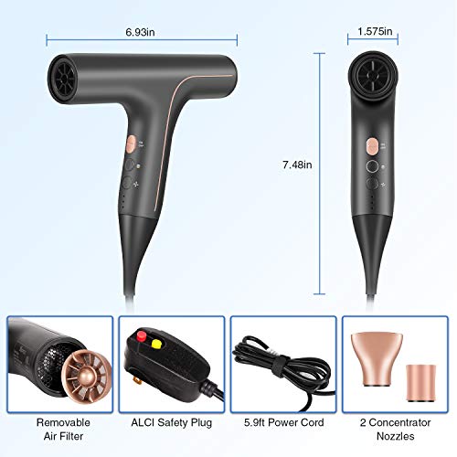 Professional Hair Dryer, Lightweight Ionic Blow Dryer, Negative I...