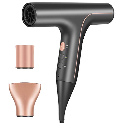 Professional Hair Dryer, Lightweight Ionic Blow Dryer, Negative I...