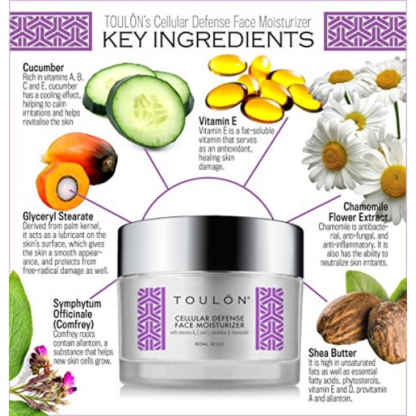 Antioxidant Moisturizer for Face with Vitamin A,C,E,Cucumber and ...